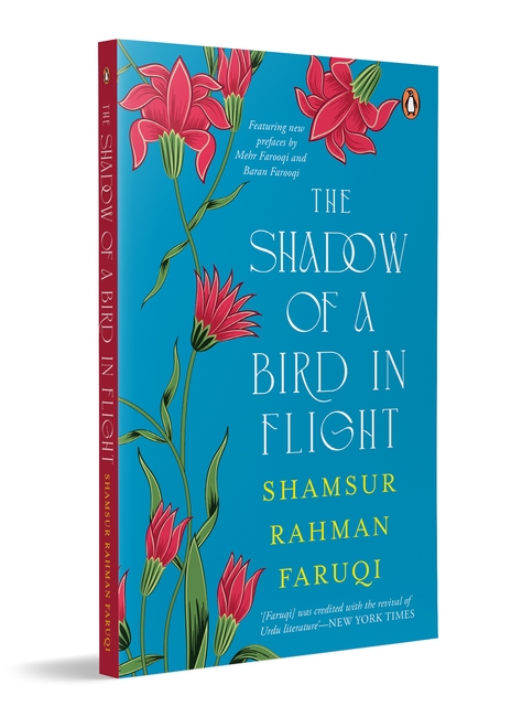 The Shadow of A Bird in Flight