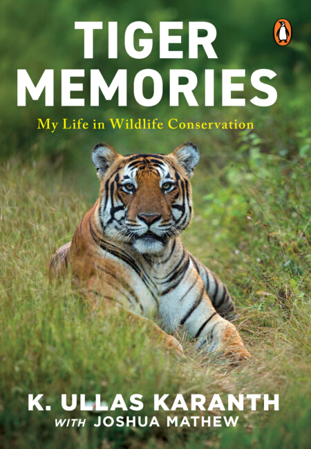Tiger Memories