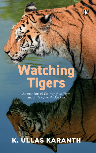 Watching Tigers