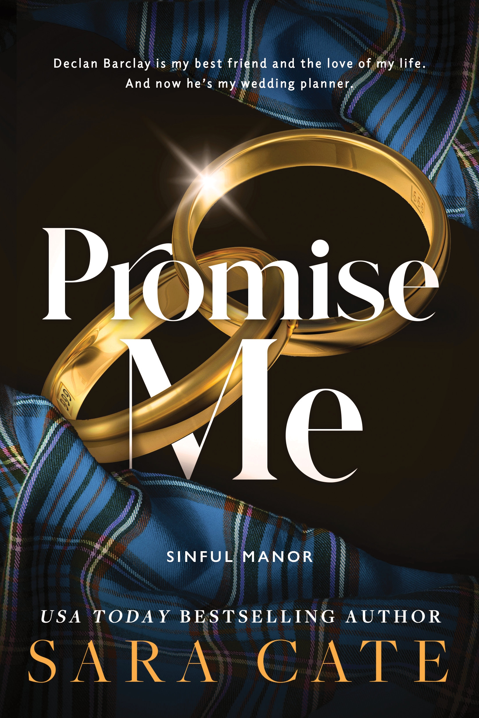 Promise Me: A Spicy Second Chance Friends to Lovers Romance (Sinful Manor Book 2)